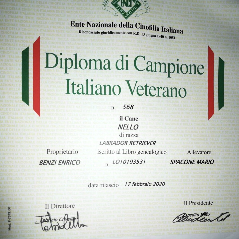 Nello è Campione Italiano Veterano!